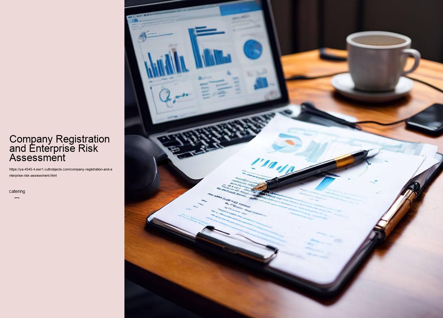 Company Registration and Enterprise Risk Assessment